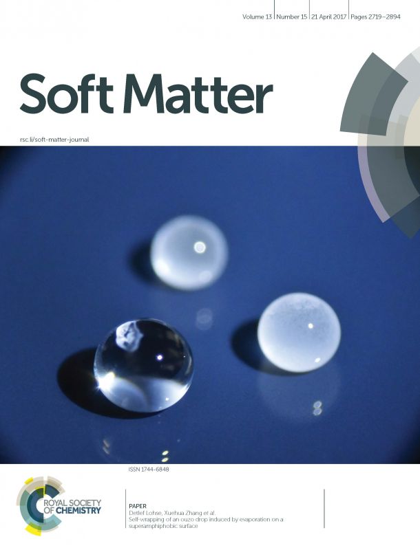 Soft Matter 13, 2017 Tan et all